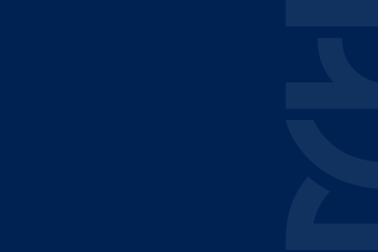 PP���ӡ�5��ʨ(�й���)��Ϸ�ٷ���վ